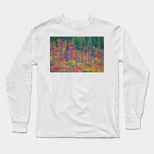 Fall in the Cascades Long Sleeve T-Shirt